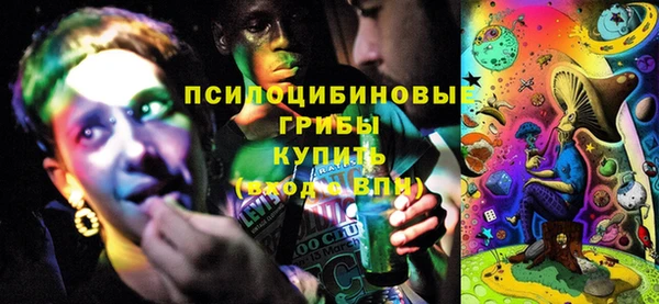 стафф Алзамай