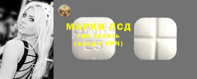 стафф Алзамай