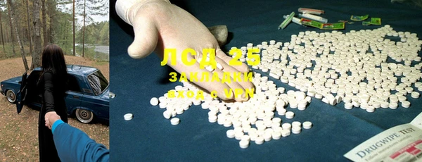 стафф Алзамай