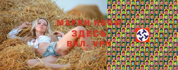 стафф Алзамай