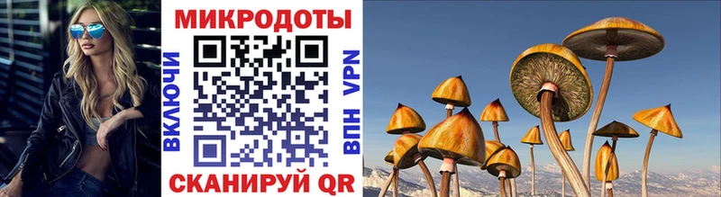 дарнет шоп  Чердынь  Псилоцибиновые грибы ЛСД 